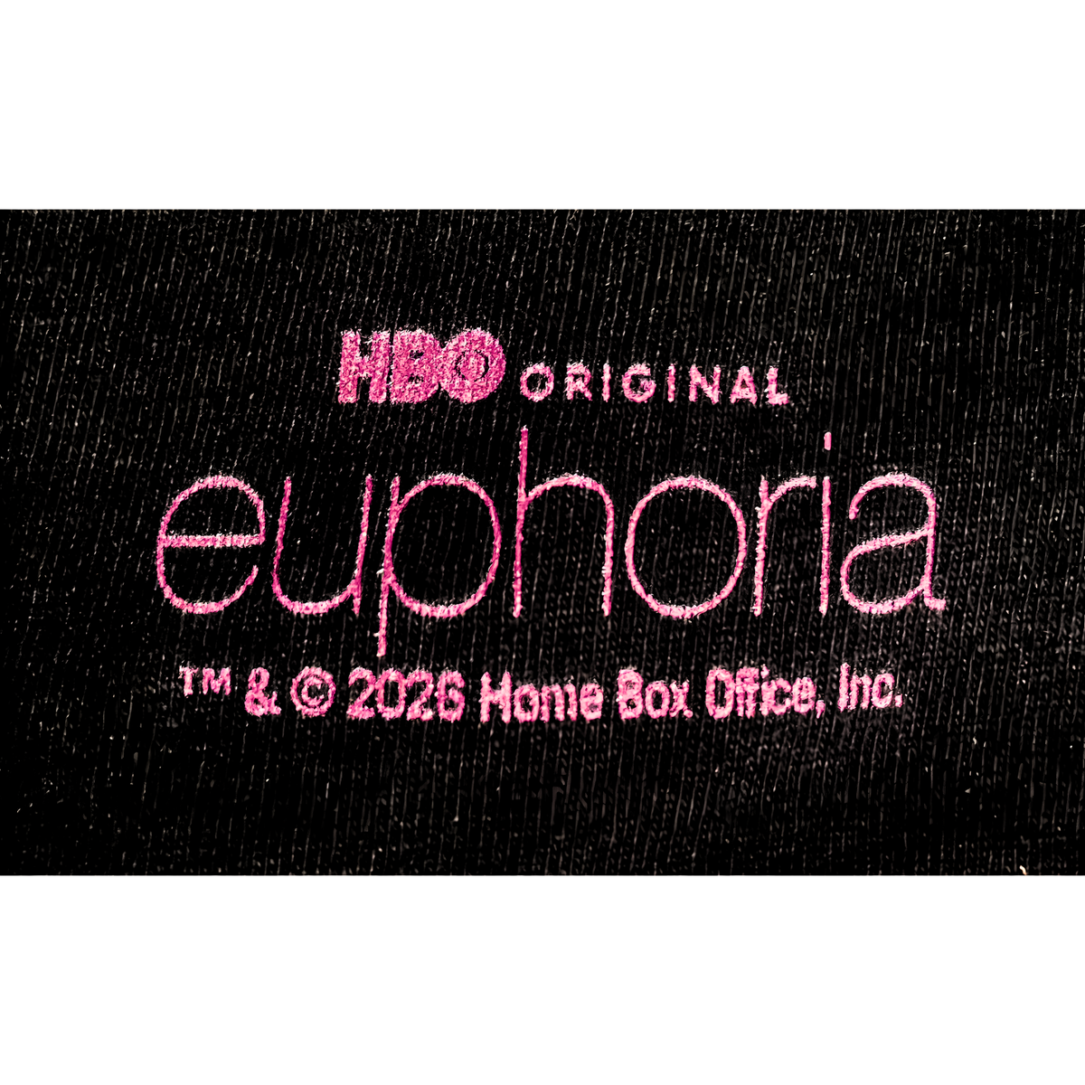 【HBO公式】Euphoria Comfort Colors T-Shirt Silver Slipper ユーフォリア
